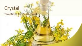  Presentation with bottle - Beautiful presentation design featuring canola - rape mustard bottle decanter oil backdrop and a cream colored foreground