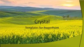  Presentation with spring - Beautiful PPT theme featuring canola - spring fresh landscape of colorful backdrop and a gold colored foreground