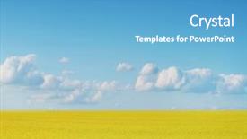  Presentation with sky blue - Amazing slides having canola crops on blue sky backdrop and a teal colored foreground