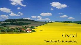  Presentation with blue sky - Amazing presentation design having canola field - beautiful rural landscape with blooming backdrop and a gold colored foreground