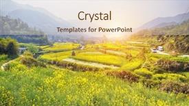  Presentation with rural - PPT theme consisting of canola field - rural landscape in wuyuan county background and a lemonade colored foreground