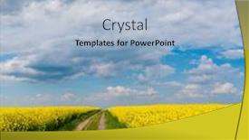  Presentation with dirt - Amazing presentation design having canola-field-and-dirt-road backdrop and a light blue colored foreground