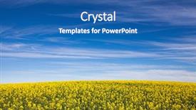  Presentation with australia - Slide set having canola field in south australia background and a  colored foreground