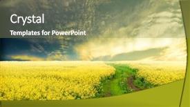  Presentation with field - Presentation theme with canola field background and a violet colored foreground