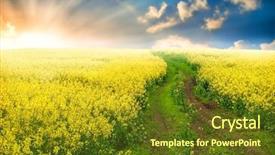  Presentation with field - Slide set featuring canola field background and a tawny brown colored foreground