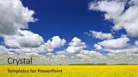  Presentation with manitoba - Beautiful slides featuring canola or rapeseed farm field backdrop and a gold colored foreground