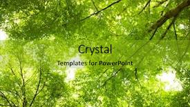  Presentation with under ground cable - Presentation theme having canopy - greenery background and a gold colored foreground