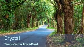  Presentation with forest road green - Slide set enhanced with canopy-of-trees-over background and a ocean colored foreground