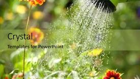  Presentation with thank you flowers - Slides having cans - watering flowers with a watering background and a yellow colored foreground