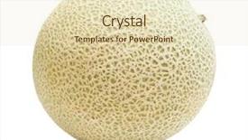  Presentation with melon - Slides featuring cantaloupe melon background and a soft green colored foreground