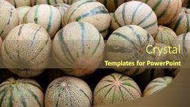  Presentation with melon - PPT layouts with cantaloupe-rock-melon-muskmelon-spanspek background and a coral colored foreground