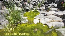  Presentation with stream - 