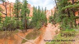  Presentation with pine trees - Theme enhanced with canyon-with-pine-trees background and a coral colored foreground