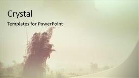  Presentation with cao - Slides featuring cao bang province in vietnam background and a soft green colored foreground