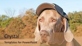  Presentation with sheriff - Presentation theme enhanced with cap and a bullet proof background and a coral colored foreground