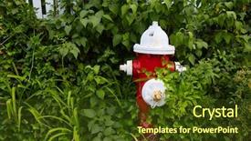  Presentation with cape cod - Presentation theme consisting of cape cod fire hydrant detail background and a tawny brown colored foreground