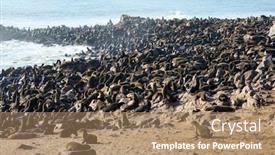  Presentation with africa tourism - Presentation design with cape-cross background and a coral colored foreground