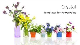  Presentation with paper quilling colorful paper flowers - Colorful theme enhanced with capetive - colorful early summer flowers backdrop and a  colored foreground