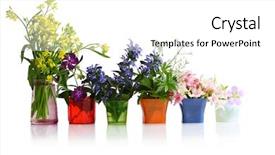  Presentation with hot and cold coffee cup - Presentation theme featuring capetive - tiny flowers in different color background and a white colored foreground