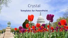  Presentation with capitol - Slide set consisting of capitol-with-colorful-tulips-foreground background and a sky blue colored foreground