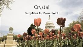  Presentation with capitol - Audience pleasing presentation consisting of capitol-with-colorful-tulips-foreground backdrop and a white colored foreground