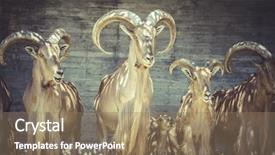  Presentation with spanish - Audience pleasing presentation design consisting of capricorn beautiful group of spanish backdrop and a  colored foreground