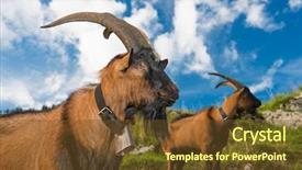  Presentation with german - Cool new slide deck with capricorn in the german alps backdrop and a tawny brown colored foreground