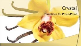  Presentation with papaya tropical fruit vanilla pastel - Colorful PPT theme enhanced with capsule packaging designs - dried vanilla fruits and orchid backdrop and a  colored foreground