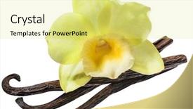  Presentation with papaya tropical fruit vanilla pastel - Slides featuring capsule packaging designs - dried vanilla fruits and orchid background and a  colored foreground