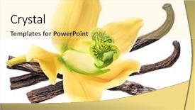  Presentation with vanilla - Presentation theme having capsule packaging designs - dried vanilla fruits and orchid background and a blonde colored foreground