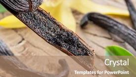  Presentation with vanilla - Presentation theme consisting of capsule packaging designs - dried vanilla fruits and vanilla background and a coral colored foreground