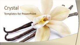  Presentation with dried vanilla pods and flowers - Amazing slide deck having capsule packaging designs - dried vanilla sticks and orchid backdrop and a cream colored foreground