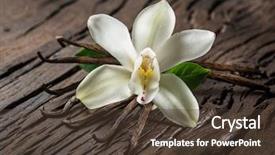  Presentation with vanilla - Amazing presentation theme having capsule packaging designs - dried vanilla sticks and vanilla backdrop and a tawny brown colored foreground