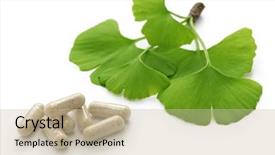  Presentation with ginkgo - Colorful PPT theme enhanced with capsules leaf - ginkgo biloba leaves and medicine backdrop and a soft green colored foreground