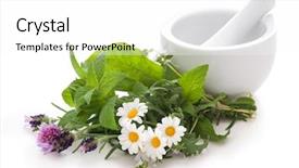  Presentation with alternative medicine - PPT layouts enhanced with capsules leaf - healing herbs and a mortar background and a white colored foreground