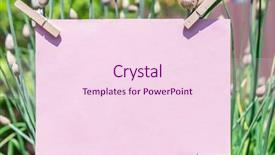 Presentation with notepad blank lined paper - PPT layouts with capsules leaf - pink paper blank and leaves background and a pink colored foreground