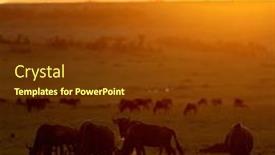  Presentation with kenya - Colorful PPT layouts enhanced with caption-desc-white-bearded-wildebeest backdrop and a tawny brown colored foreground