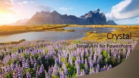  Presentation with summer flowers - Slides having captivating - beautiful view of perfect lupine background and a coral colored foreground