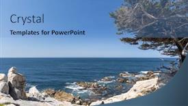  Presentation with mangroves mangrove trees along - Presentation theme with captivating-coastal-landscape-featuring background and a teal colored foreground