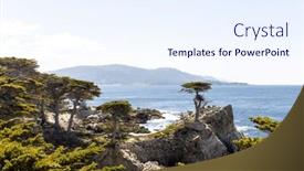  Presentation with mangroves mangrove trees along - Presentation having captivating-coastal-landscape-featuring background and a sky blue colored foreground