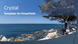  Presentation with mangroves mangrove trees along - Presentation design featuring captivating-coastal-landscape-featuring background and a teal colored foreground