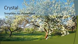  Presentation with earth day - PPT theme enhanced with captivating ornamental garden with blooming background and a light blue colored foreground