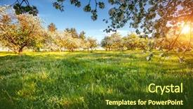  Presentation with earth rising sun illustration - Colorful slide deck enhanced with captivating ornamental garden with blooming backdrop and a tawny brown colored foreground