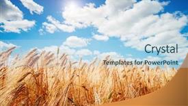  Presentation with natural products - Beautiful PPT layouts featuring wonderful day in summertime location backdrop and a sky blue colored foreground