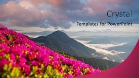  Presentation with seven wonder of world - Beautiful slide set featuring captivating-summer-scene-with-pink backdrop and a seafoam green colored foreground