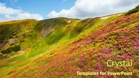  Presentation with pink beauty - Slide deck enhanced with captivating-summer-scene-with-pink background and a tawny brown colored foreground