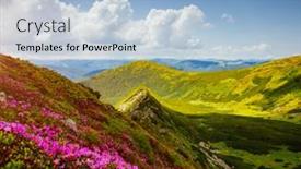  Presentation with world diabetes day - PPT theme enhanced with captivating-summer-scene-with-pink background and a light blue colored foreground