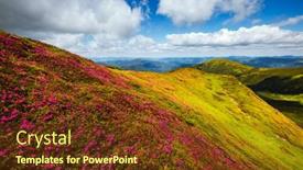  Presentation with pink beauty - Cool new presentation design with captivating-summer-scene-with-pink backdrop and a tawny brown colored foreground