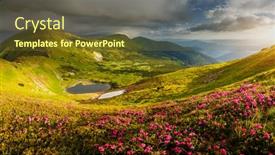  Presentation with summer flowers - Beautiful PPT layouts featuring captivating-summer-scene-with-rhododendron backdrop and a tawny brown colored foreground