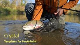  Presentation with trout - PPT theme with capture-of-a-rainbow-trout background and a tawny brown colored foreground
